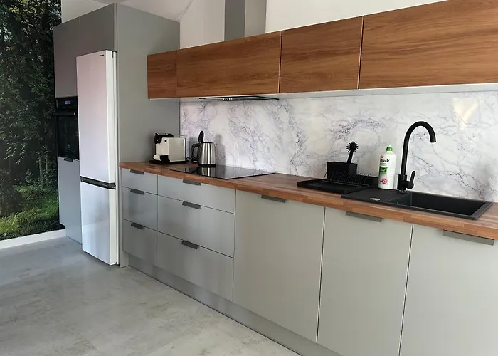 Mazurski Appartement Nidzica